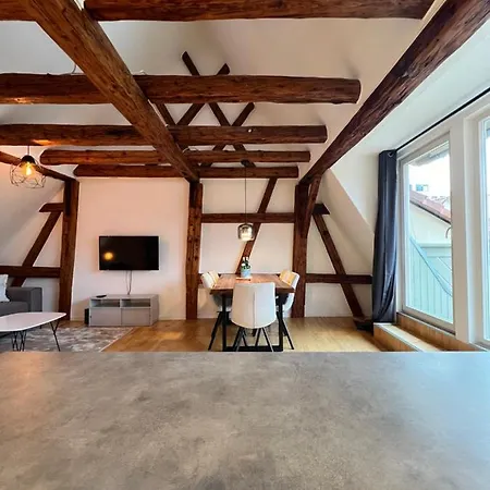 Ludwigshome Zentralste Lage, Klima, Smarttv, Terrasse Ludwigsburg Exterior foto