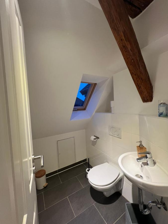 Apartment Ludwigshome Zentralste Lage, Klima, Smarttv, Terrasse